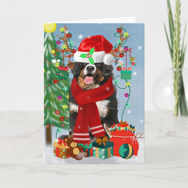 Bernese Mountain Dog i snö med julklappar  Kort (Framsida)