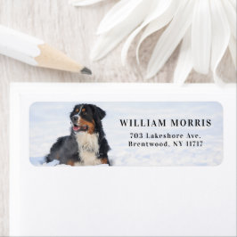 Bernese Mountain Dog i snö returadress Etikett