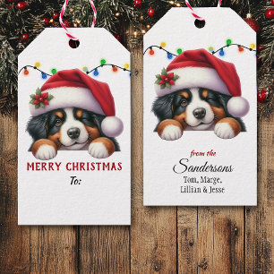 Bernese Mountain Dog julenisse mössa jul Presentetikett
