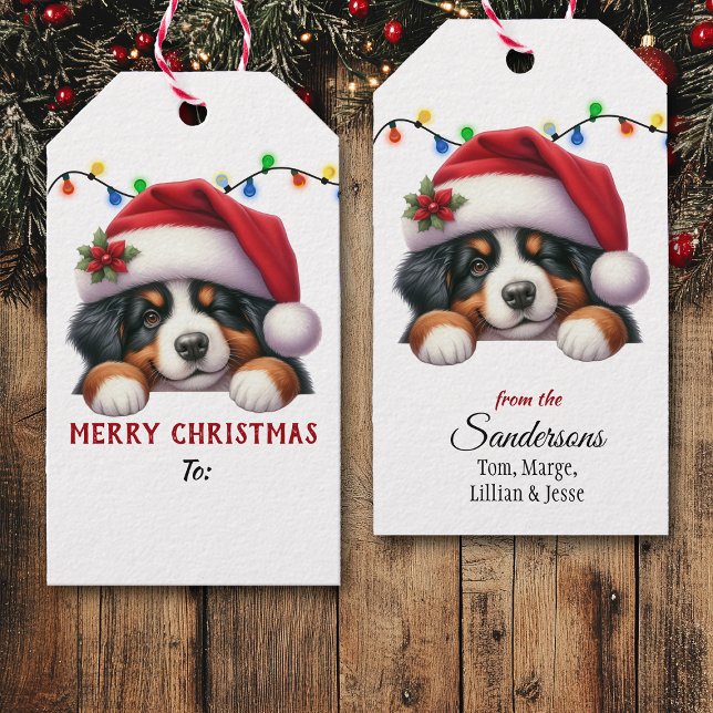 Bernese Mountain Dog julenisse mössa jul Presentetikett (Skapare uppladdad)