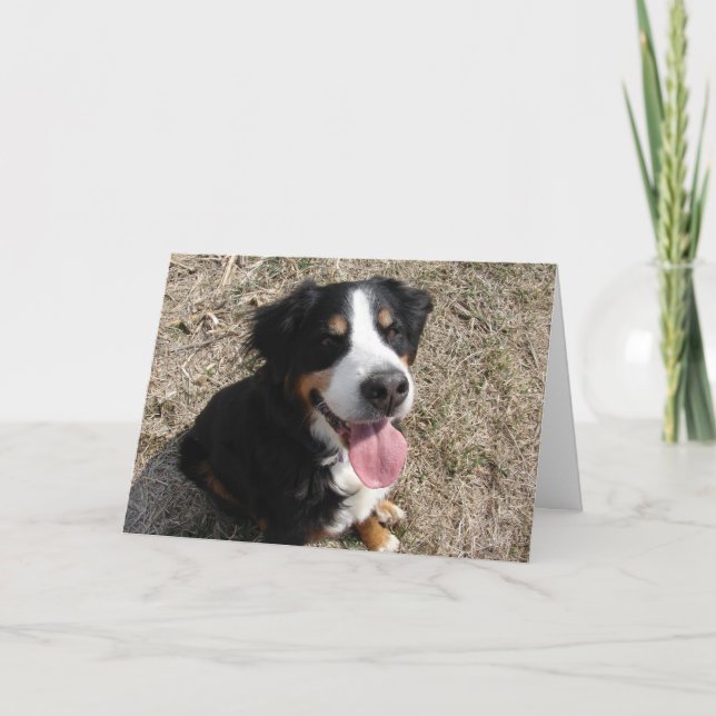 Bernese Mountain Dog Leende Kort (Framsida)