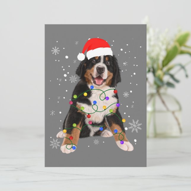 Bernese Mountain Dog Lights julmatchande fam Julkort (Stående Fram)