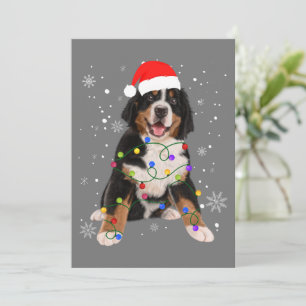 Bernese Mountain Dog Ljus Jul Matchande Fam Julkort