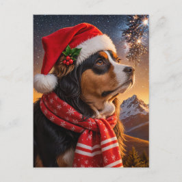 Bernese Mountain Dog med tomtehatt Vykort