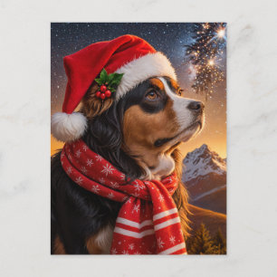 Bernese Mountain Dog med tomtehatt Vykort