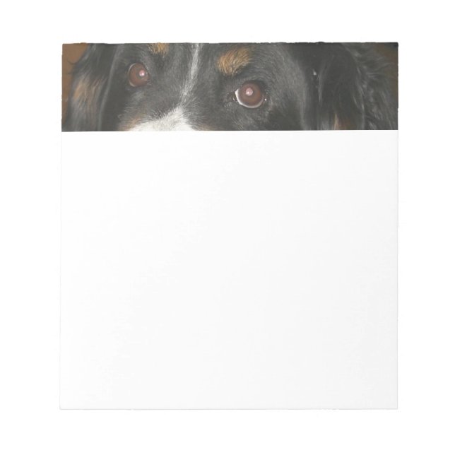 Bernese Mountain Dog Ögon Anteckningsblock (Framsida)