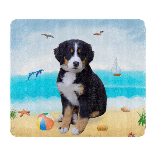Bernese Mountain Dog på strand (Framsidan)