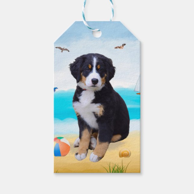 Bernese Mountain Dog på strand Presentetikett (Framsidan)