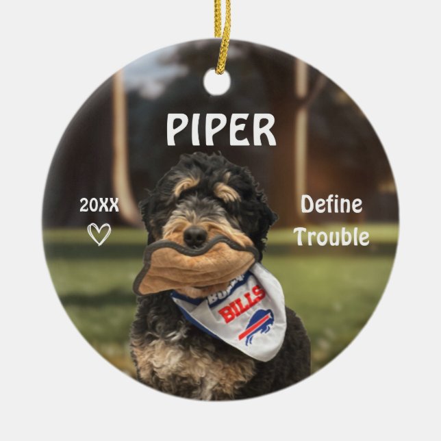 Bernese Mountain Dog Photo Ornament (Framsidan)