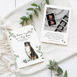 Bernese Mountain Dog Pregnancy Announcement Meddelande<br><div class="desc">Let your first baby help share the big news. This watercolor pregnancy announcement features a sweet illustrated Bernese Mountain Dog proudly holding a tiny baby bodysuit as they announce the arrival of a new little human. The playful message “My humans are getting me a tiny human” adds a lighthearted and...</div>