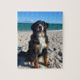Bernese Mountain Dog Pussel