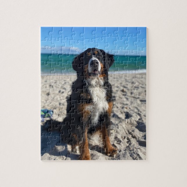 Bernese Mountain Dog  Pussel (Vertikal)