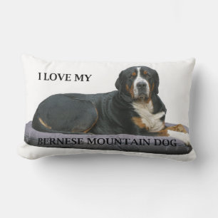 bernese mountain dog rost full liggande kärlek w p lumbarkudde