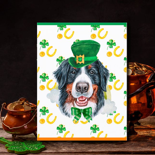 Bernese Mountain Dog Shamrock St. Patricks Day Helg Vykort (Skapare uppladdad)