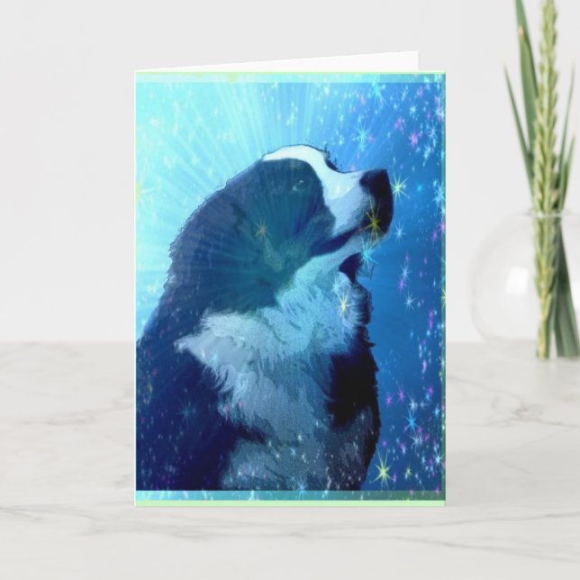 Bernese Mountain Dog stjärnförälskad gratulationsk Kort (Framsida)