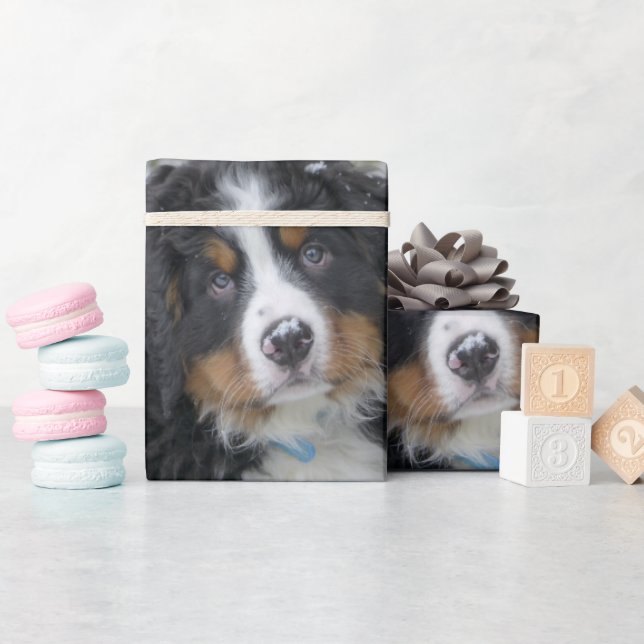 Bernese Mountain Dog Valp Andra Presentpapper (Baby Shower)