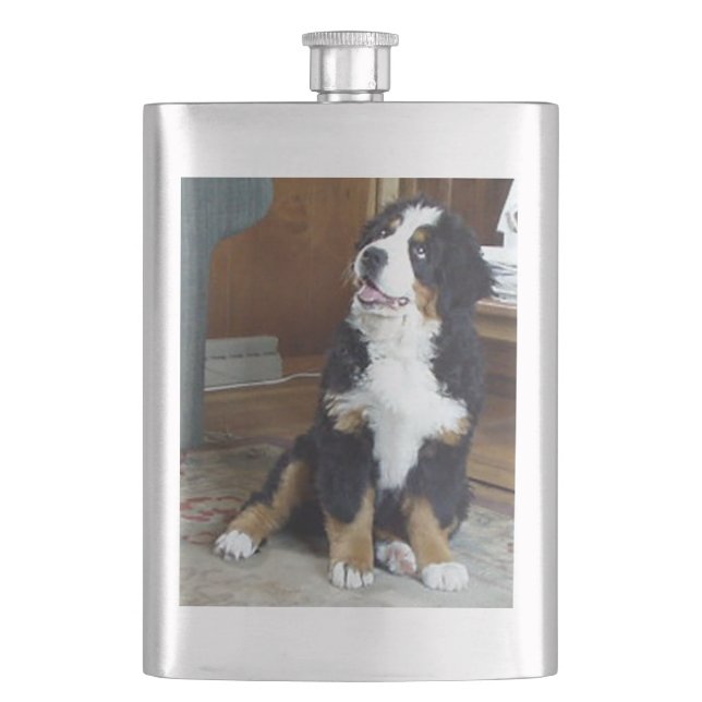 bernese mountain dog valp fickplunta (Framsidan)