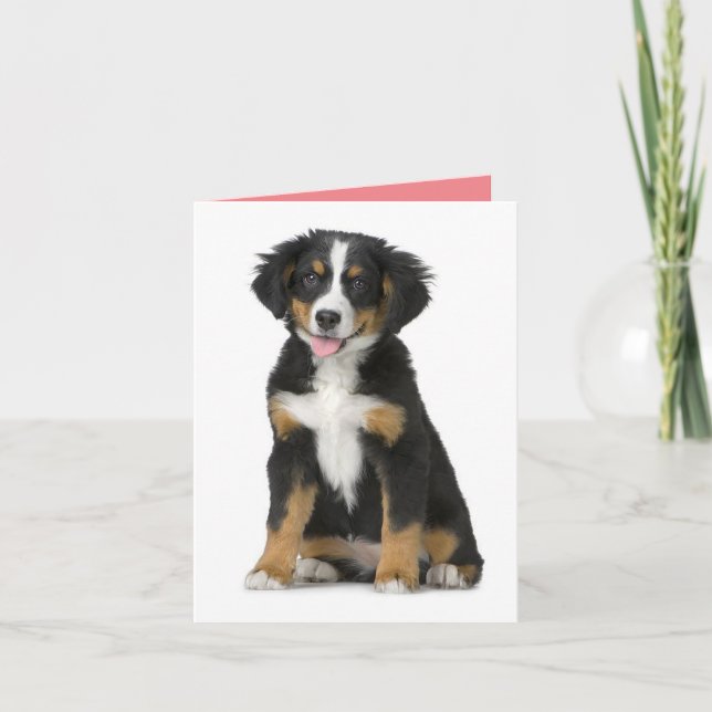 Bernese Mountain Dog Valp Hund Anteckningskort (Framsida)