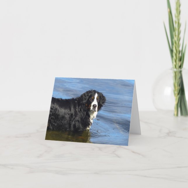 Bernese Mountain Dog Valp Hund Notkort Kort (Framsida)