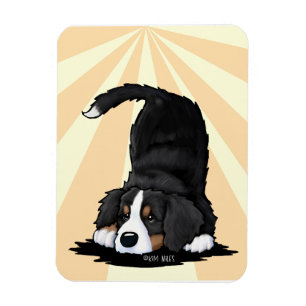 Bernese Mountain Dog Valp Magnet