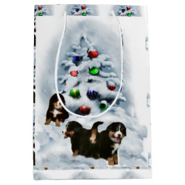 Bernese Mountain Dog Valpar till jul
