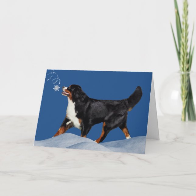 Bernese Mountain Dog Vinterkort Helgkort (Framsida)