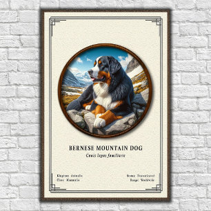 Bernese Mountain Dog Zoologisk Serie Poster