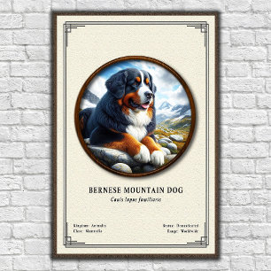 Bernese Mountain Dog Zoologisk Serie Poster