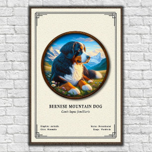 Bernese Mountain Dog Zoologisk Serie Poster