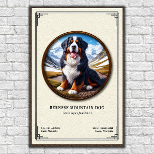 Bernese Mountain Dog Zoologisk Serie Poster