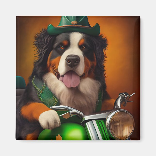 Bernese Mountain Driving Bike St. Patrick's Day Magnet (Framsidan)