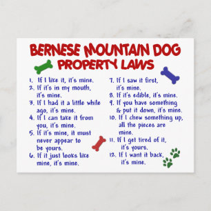 BERNESE MOUNTAIN Egendom LAGSTIFTNING 2 Vykort