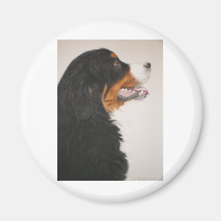 Bernese Mountain Hund 2 Magnet
