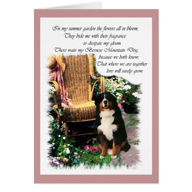 Bernese Mountain Hund Art Gifts Hälsningskort (Framsidan)