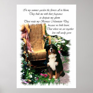 Bernese Mountain Hund Art Skriv ut Poster