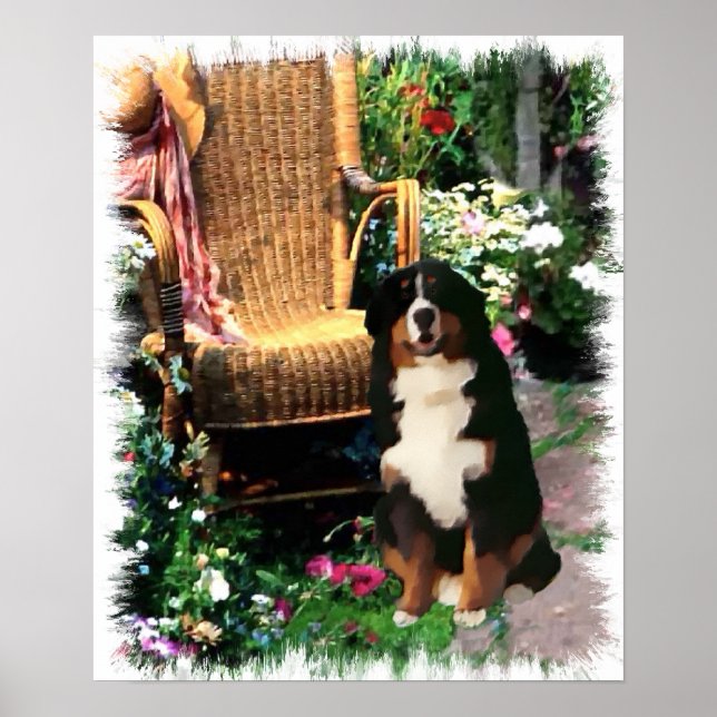 Bernese Mountain Hund Art Skriv ut Poster (Framsidan)