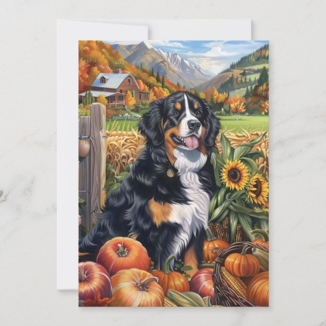 Bernese Mountain Hund Autumn Harvest Thanksgiving Julkort (Framsida)
