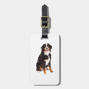 Bernese Mountain Hund Bagagebricka