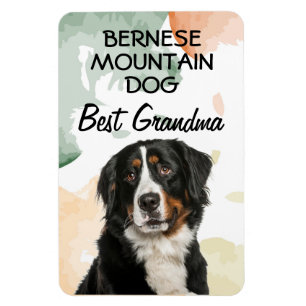 Bernese Mountain Hund Best Grandma Magnet