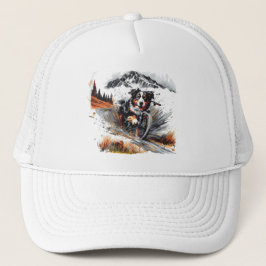 Bernese Mountain Hund Biking in Mountain Keps