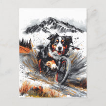 Bernese Mountain Hund Biking in Mountain
