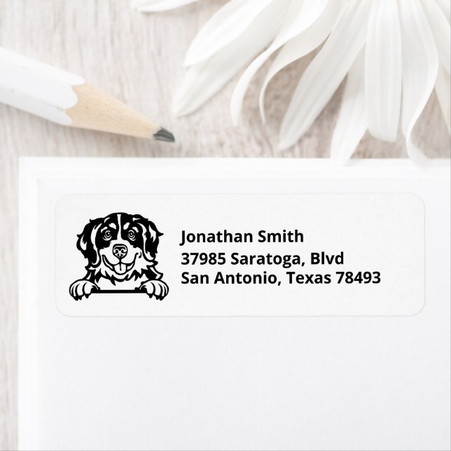 BERNESE MOUNTAIN HUND | Bild på Returadress Etikett (Insitu)