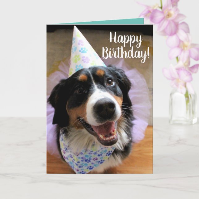 Bernese Mountain Hund Birthday Card Kort (Orkide)