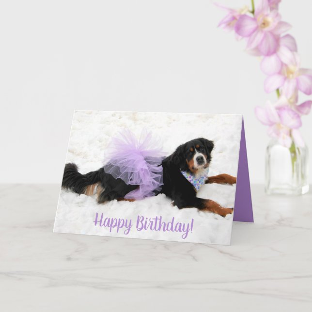 Bernese Mountain Hund Birthday Kort (Orkide)
