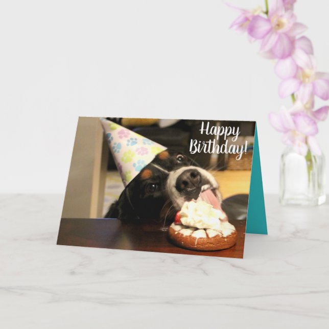 Bernese Mountain Hund Birthday Kort (Orkide)