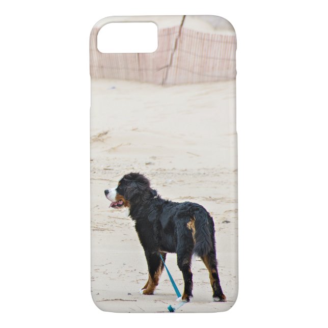 Bernese Mountain hund Case-Mate iPhone Skal (Baksida)