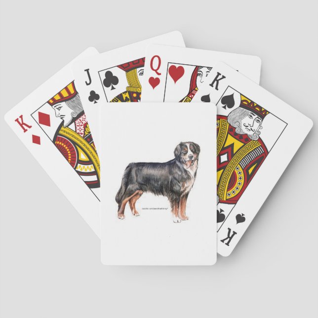Bernese Mountain Hund Casinokort (Baksidan)