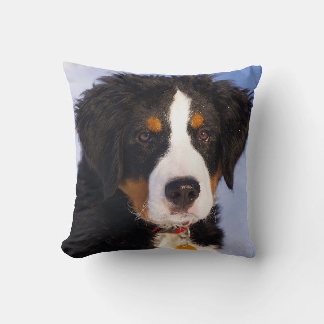 Bernese Mountain Hund - Cute Puppy Photo Kudde (Framsida)