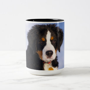 Bernese Mountain Hund - Cute Puppy Photo Två-Tonad Mugg
