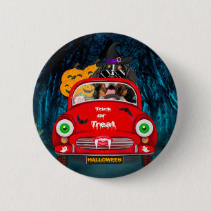 Bernese Mountain Hund Driving Car Scary Halloween Knapp